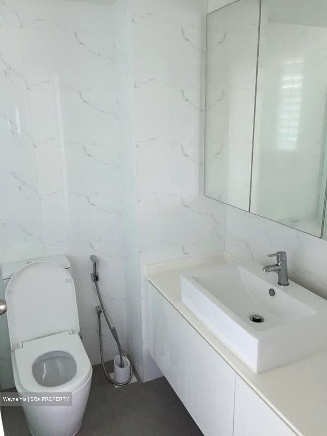 Maysprings (D23), Apartment #553500121